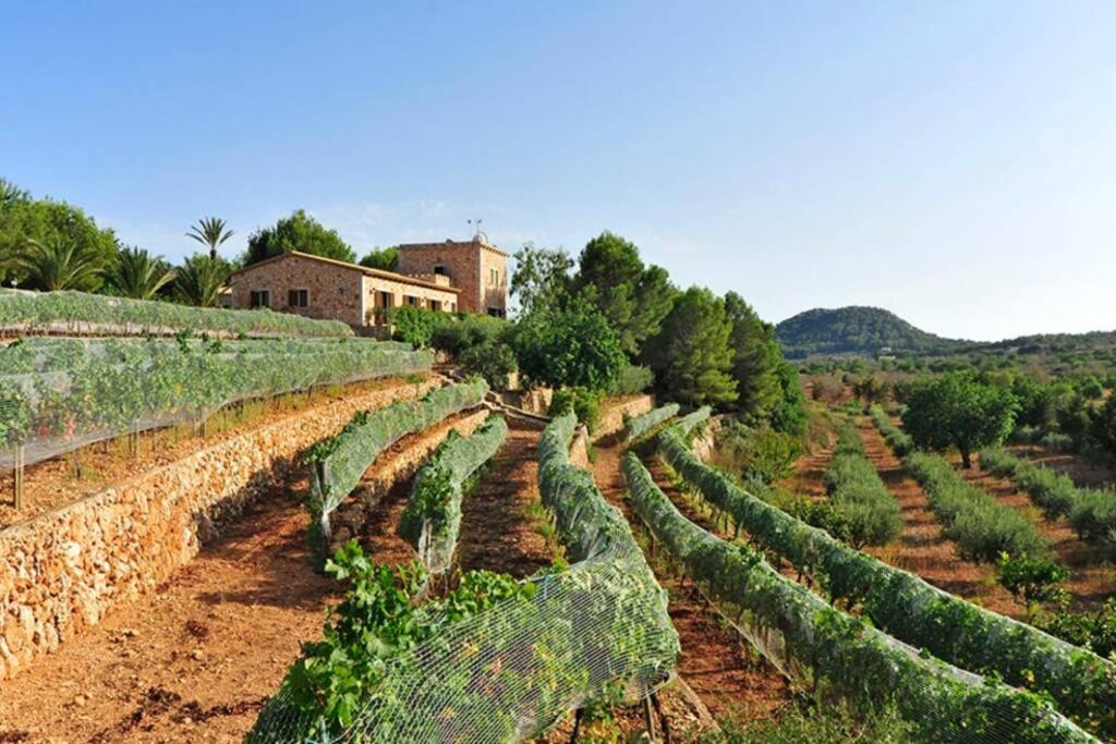 Es Castell De Ca N'Alou De Ses Cases Noves S'Horta المظهر الخارجي الصورة